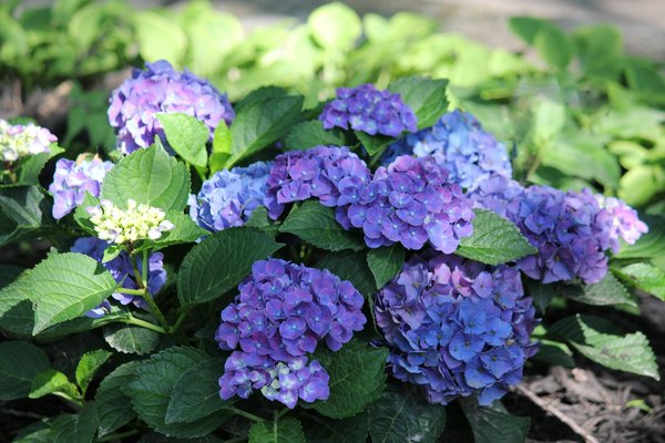 Sac de pellet prix : guide complet pour économiser en 2025