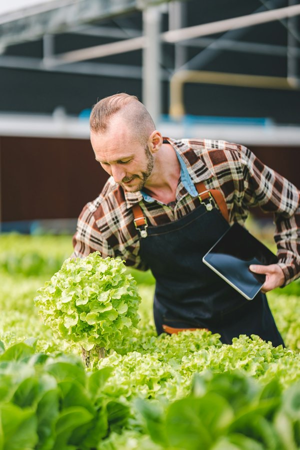 Les avantages du géotextile potager et ses utilisations multiples