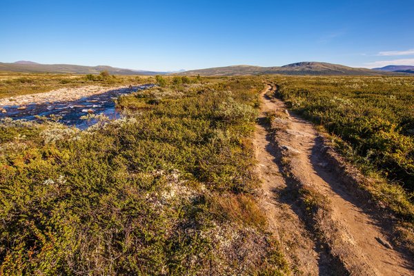 Les meilleures scies sauteuses sans fil : un guide complet