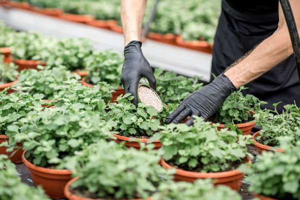 Conseil de jardinage : Fertiliser naturellement son jardin, une bonne idée ?